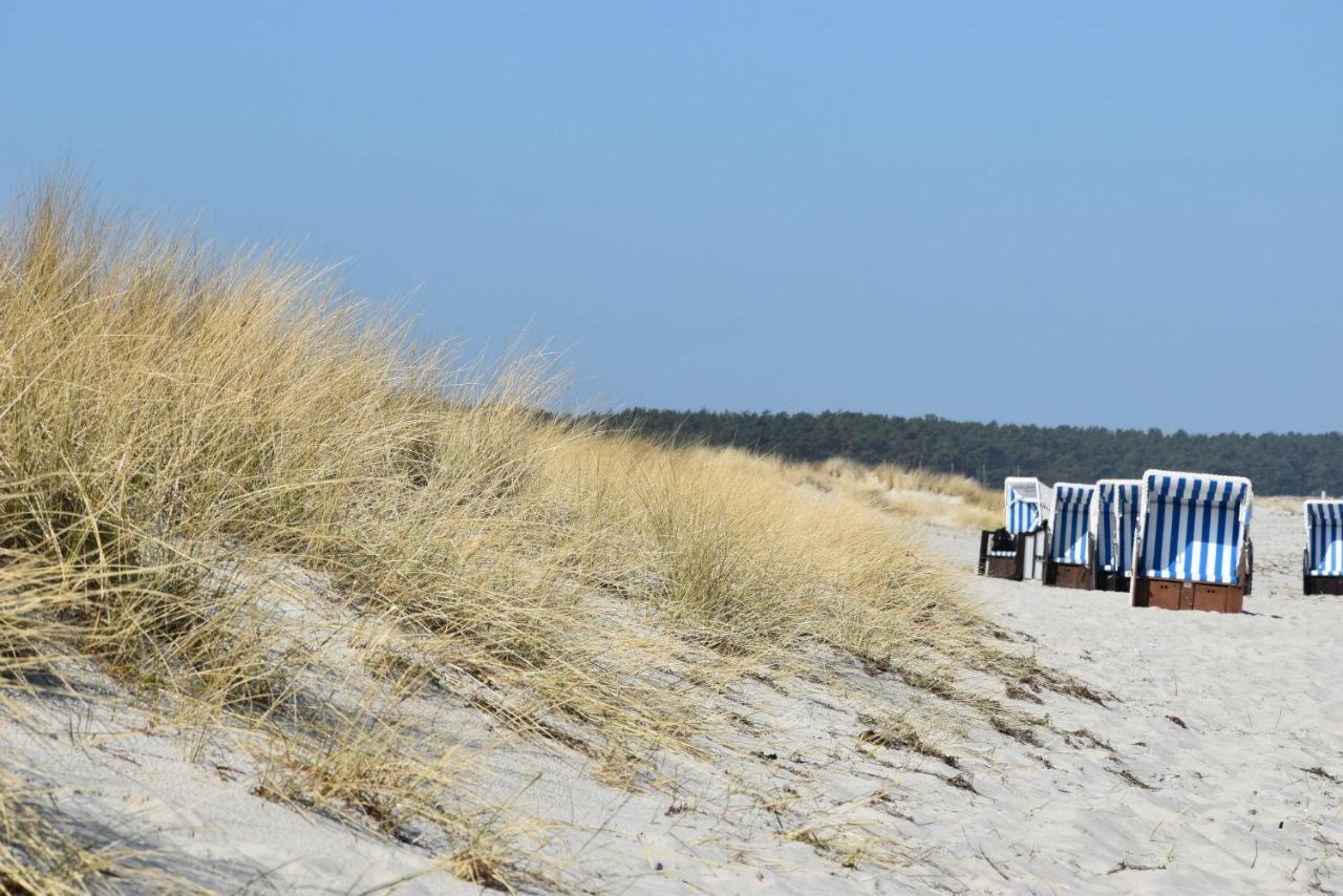 Ferienwohnungen Am Bernsteinweg Prerow Bagian luar foto